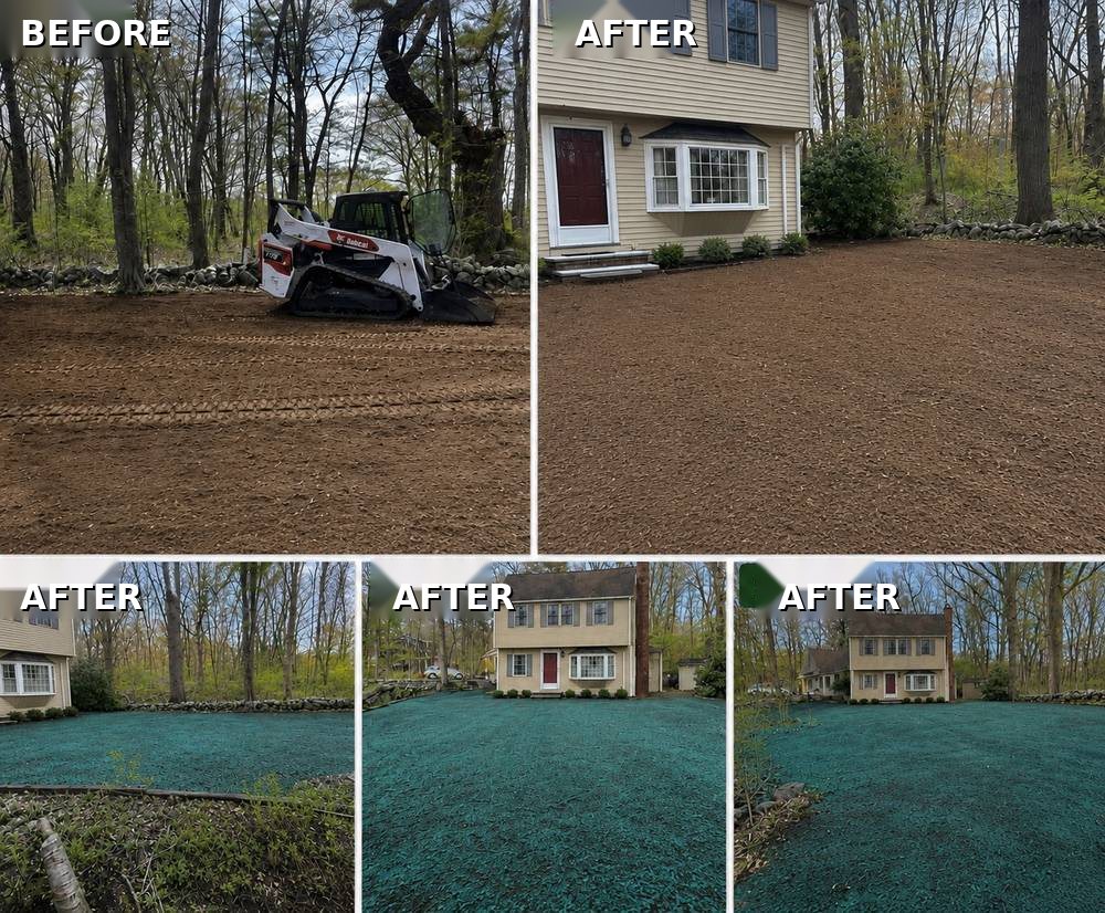 Before and after hydro seeding project