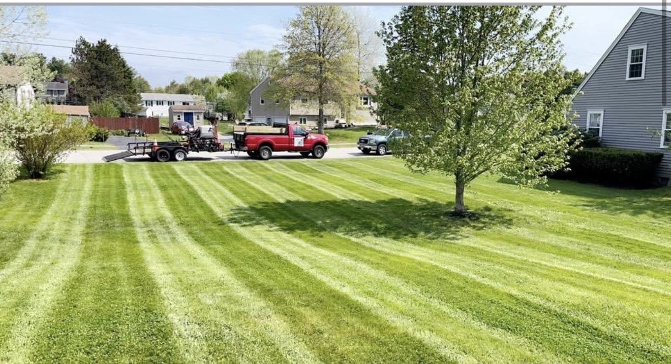 Fresh lawn mowing stripes