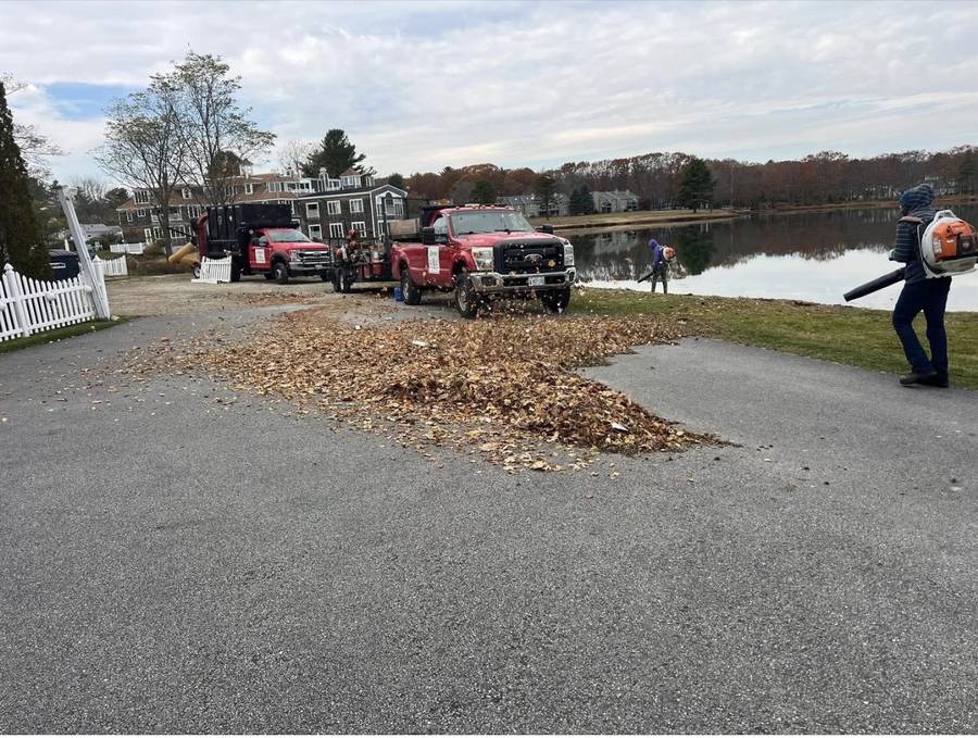 Fall cleanup leaf removal